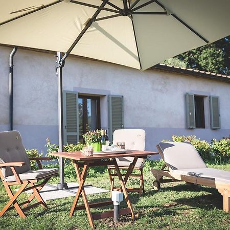 Gatto Rosso Bed & Breakfast Bolgheri Eksteriør bilde