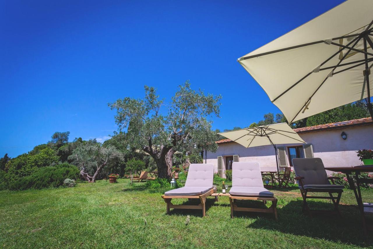 Gatto Rosso Bed & Breakfast Bolgheri Eksteriør bilde