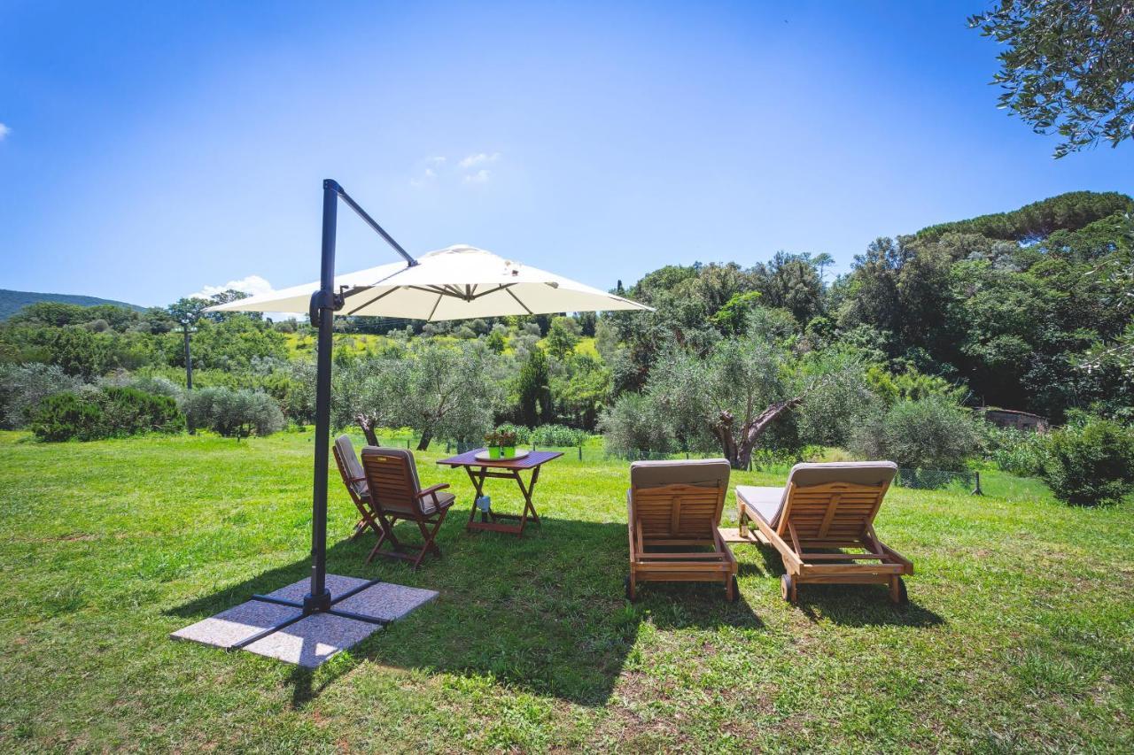 Gatto Rosso Bed & Breakfast Bolgheri Eksteriør bilde