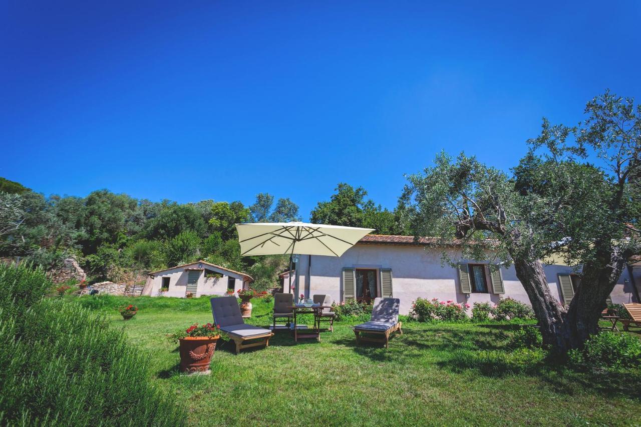 Gatto Rosso Bed & Breakfast Bolgheri Eksteriør bilde