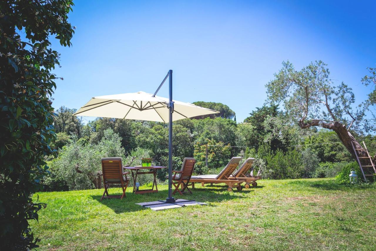 Gatto Rosso Bed & Breakfast Bolgheri Eksteriør bilde