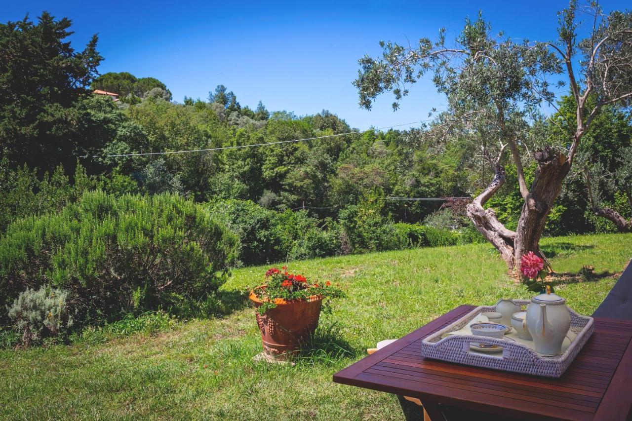 Gatto Rosso Bed & Breakfast Bolgheri Eksteriør bilde