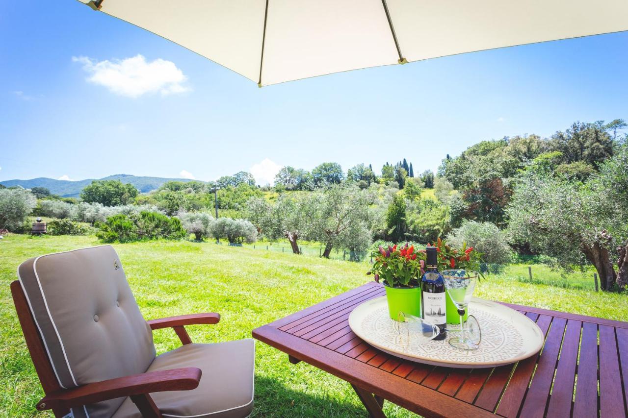 Gatto Rosso Bed & Breakfast Bolgheri Eksteriør bilde