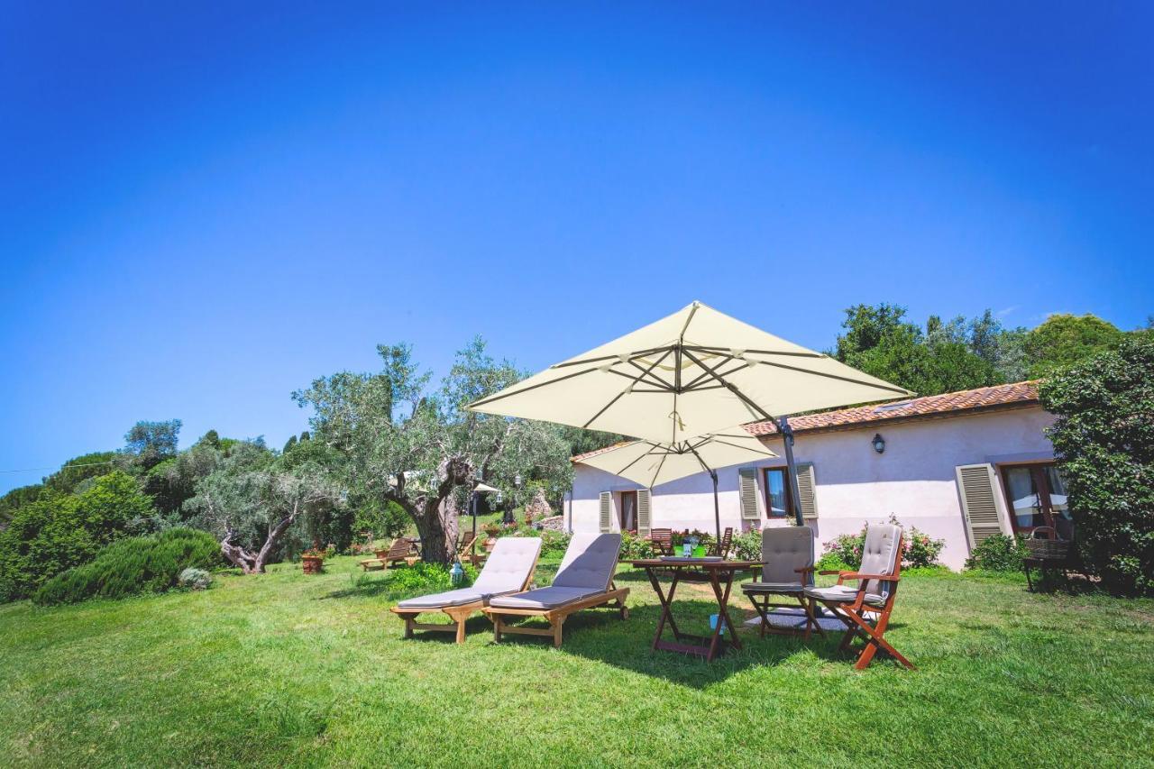 Gatto Rosso Bed & Breakfast Bolgheri Eksteriør bilde