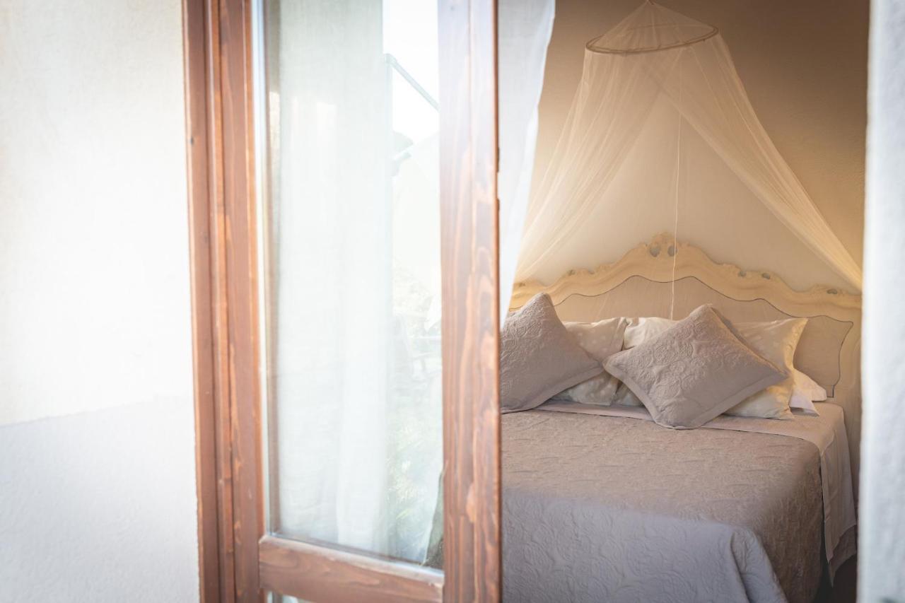 Gatto Rosso Bed & Breakfast Bolgheri Eksteriør bilde