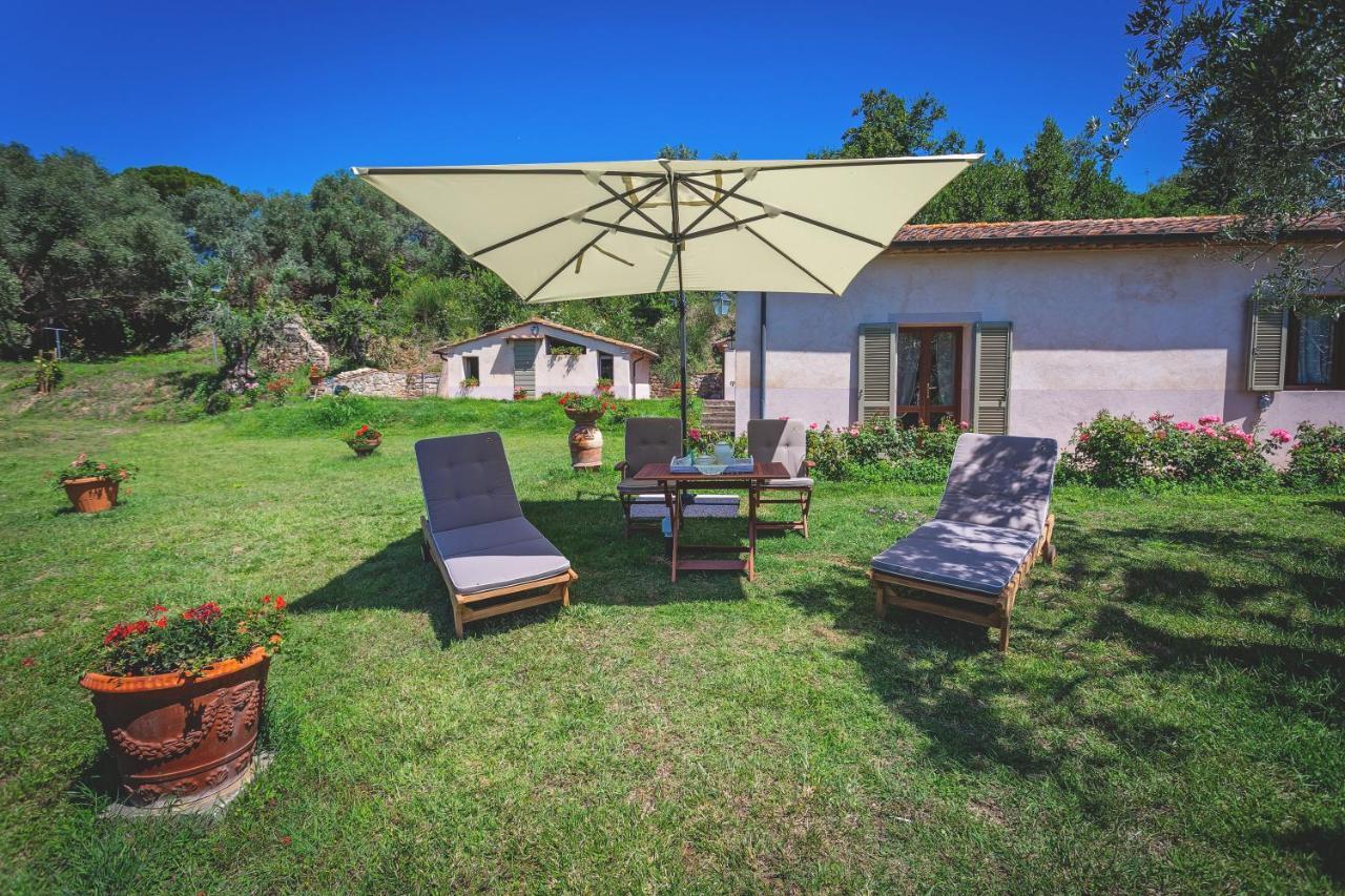 Gatto Rosso Bed & Breakfast Bolgheri Eksteriør bilde